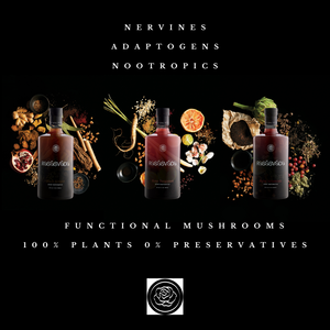 Rasāsvāda Discovery Set - Botanical Non-Alcoholic Spirit